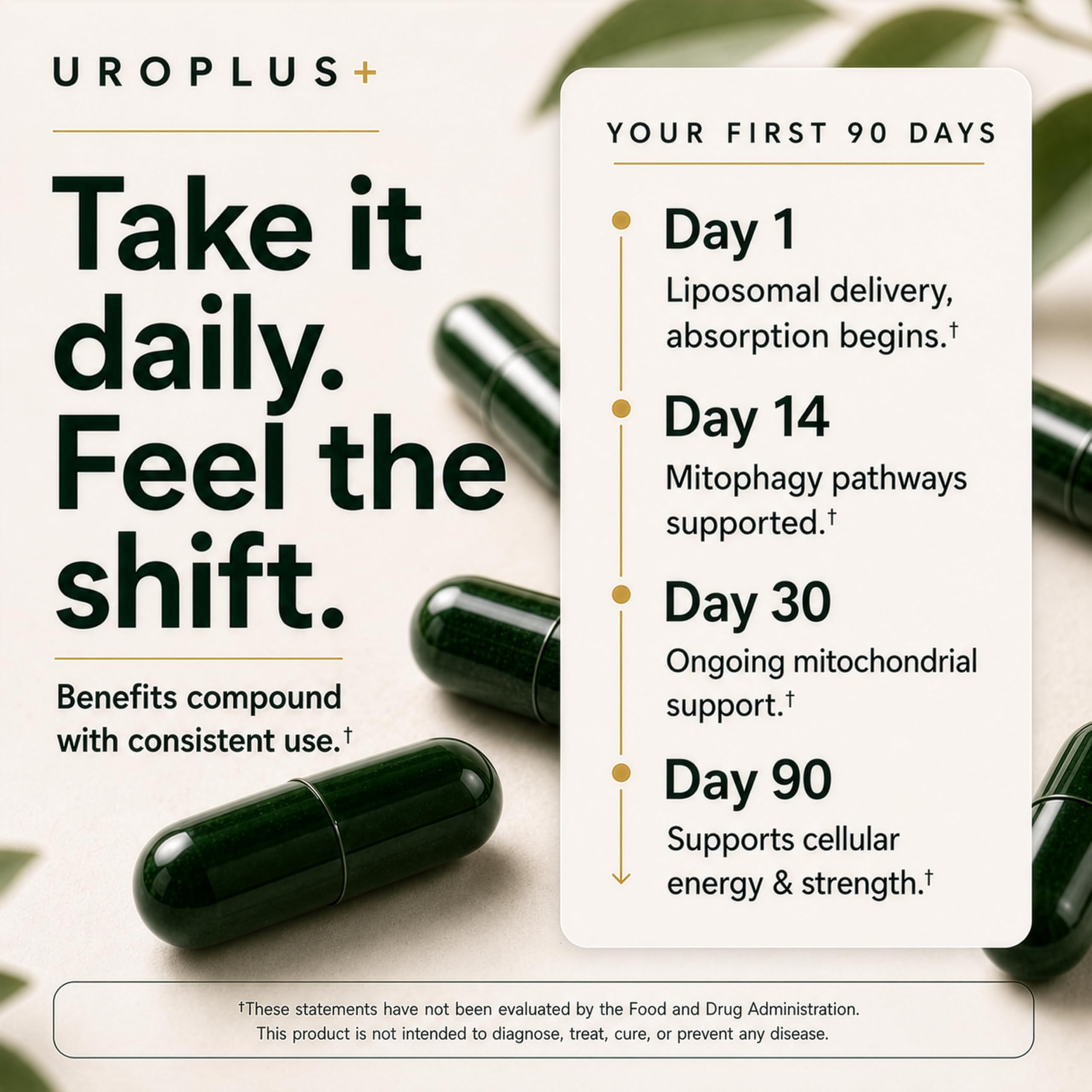 Plus+Ultra primer plano de urolitina A como ingrediente activo