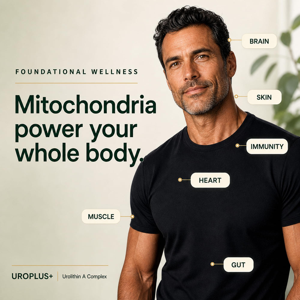 Plus+Ultra cápsula abierta detalle de la forma y recubrimiento liposomal
