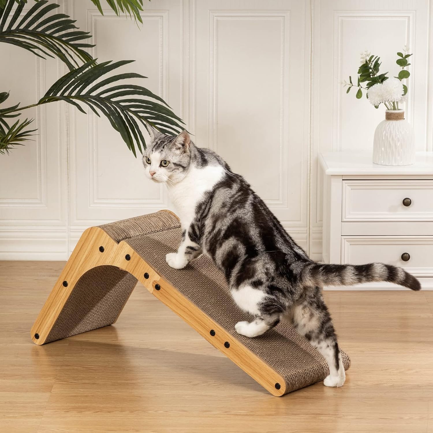 Poils bebe primer plano de la pelota con catnip incluida para estimular juego