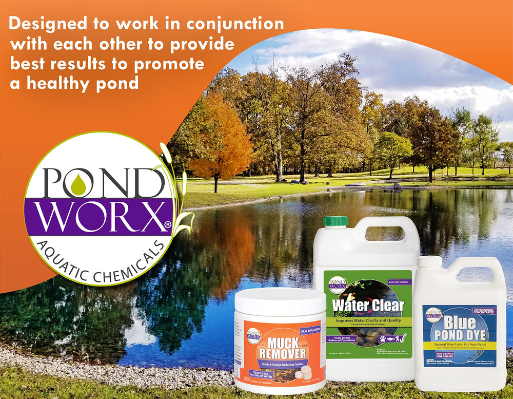 PondWorx en jardín acuático con koi demostrando agua más clara