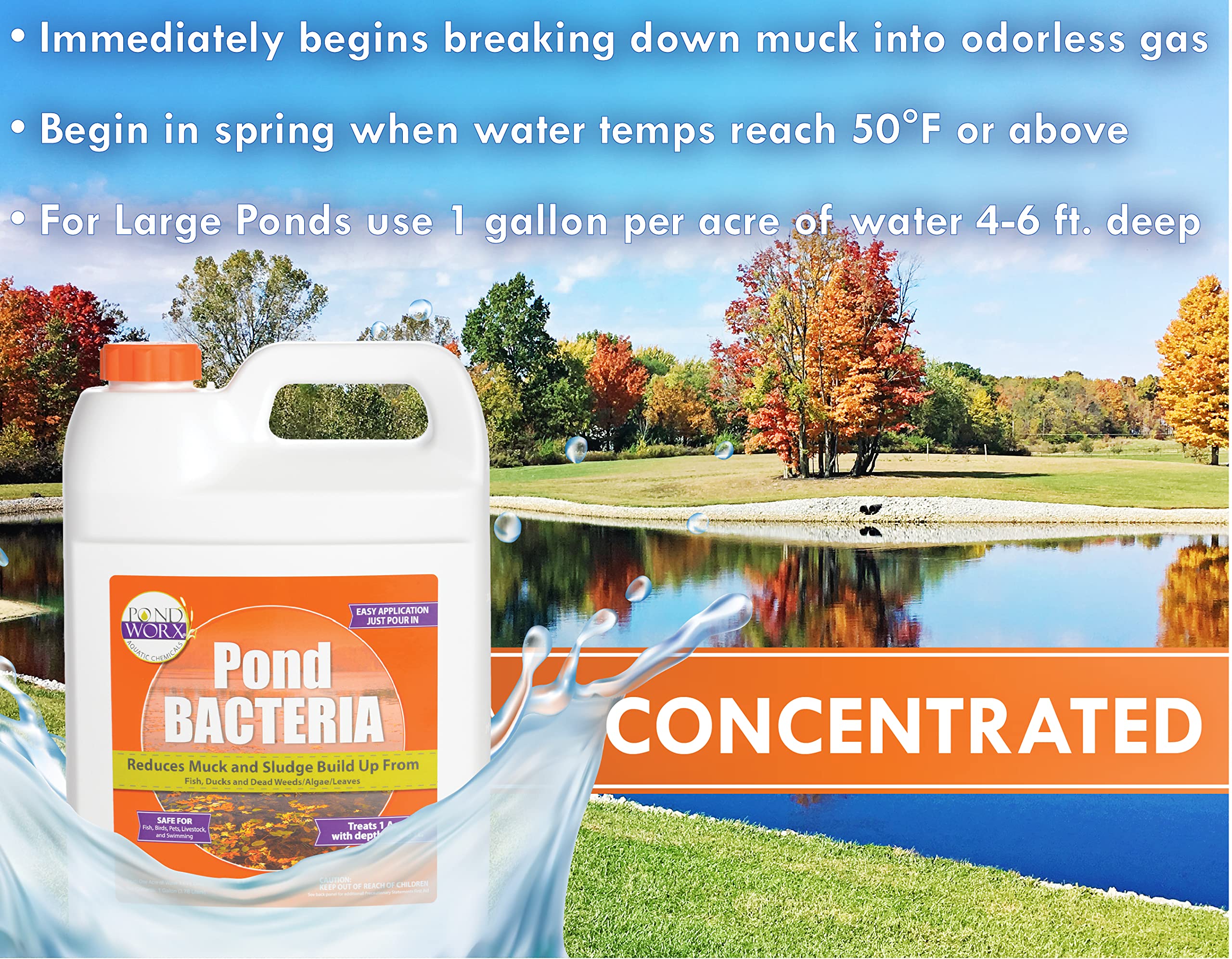 PondWorx aplicación en estanque verte desde la orilla para distribuir bacterias