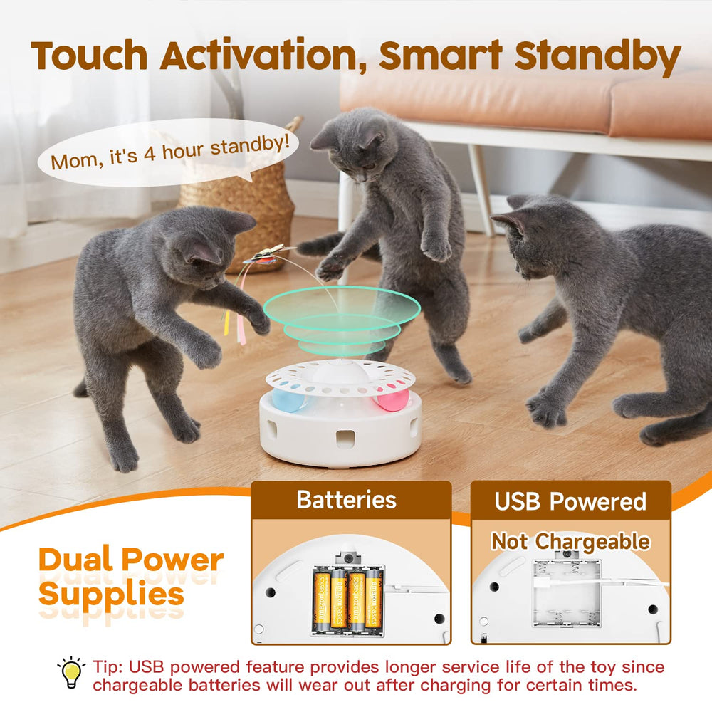 Potaroma lifestyle cat playing indoor illustrating exercise and mental enrichment