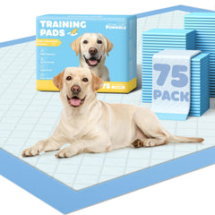 Powools front package showing 75-pack and size benefits