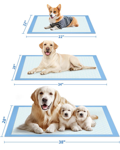Powools pad inside pet crate for cleaner indoor confinement
