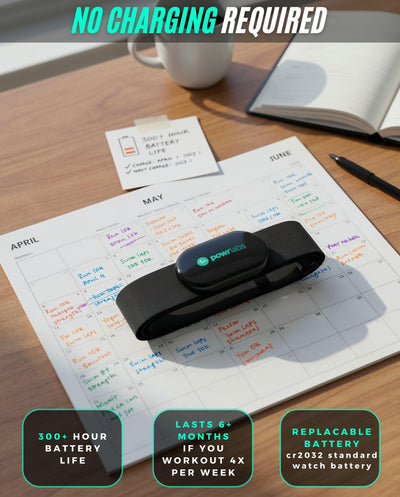 POWR LABS comparación de tamaño para visualizar ajuste y portabilidad