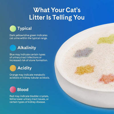 PrettyLitter lifestyle image with cat using box showing low tracking