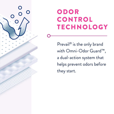 Prevail corte transversal del absorbente que muestra capas de rápida absorción