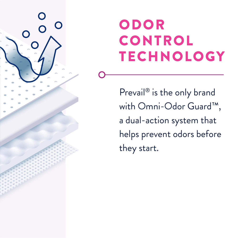 Prevail corte transversal del absorbente que muestra capas de rápida absorción