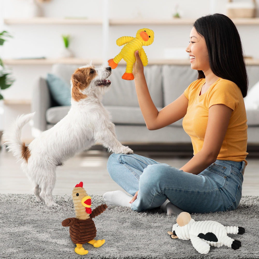 PrimePets pack dentro de caja regalo ideal como obsequio para amantes de perros