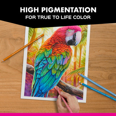 Prismacolor caja metálica abierta protegiendo y transportando los lápices