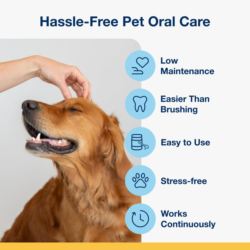 Etiqueta de ProDen PlaqueOff con información de ingredientes y uso claro