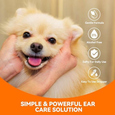 PUAINTA before and after ear cleaning swatch showing reduced wax and odor