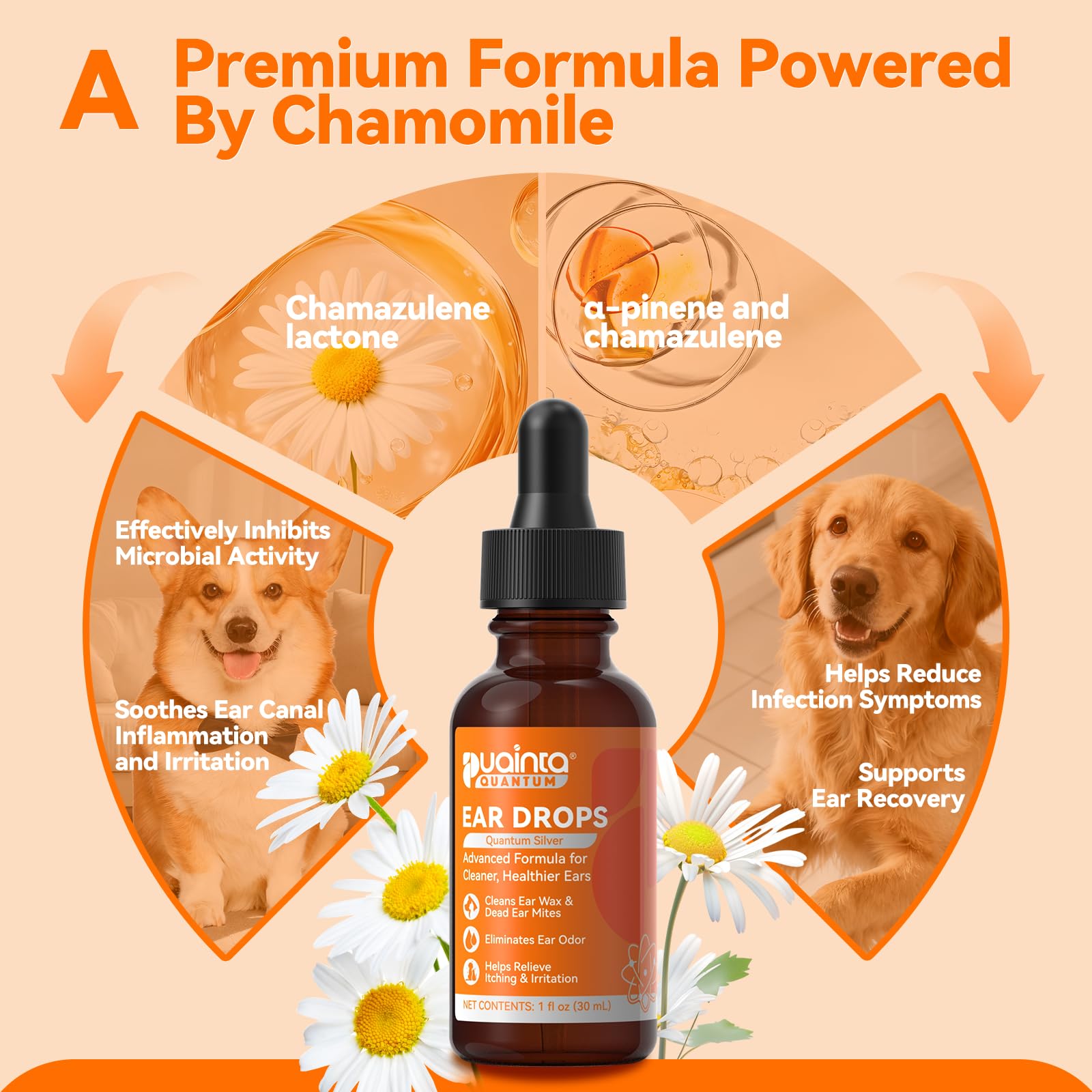 PUAINTA dropper applying ear drops to a dog demonstrating simple at-home use