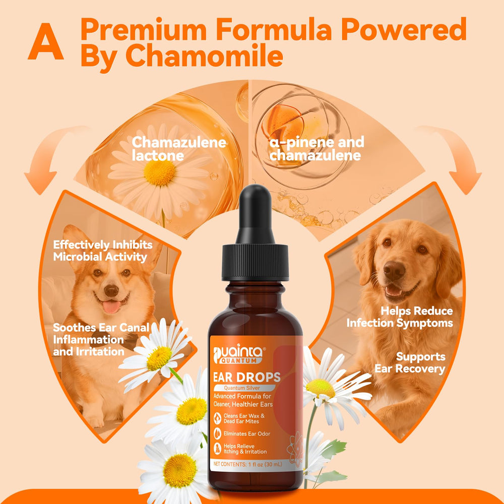 PUAINTA dropper applying ear drops to a dog demonstrating simple at-home use