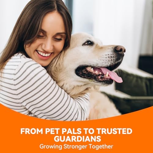 PUAINTA lifestyle image of pet owner cleaning ear for comfortable pet care