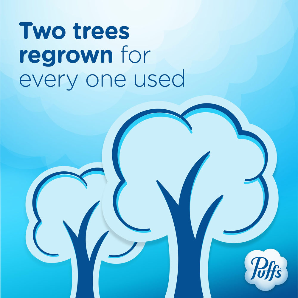 Puffs en uso en sala de estar ofreciendo comodidad durante resfriados