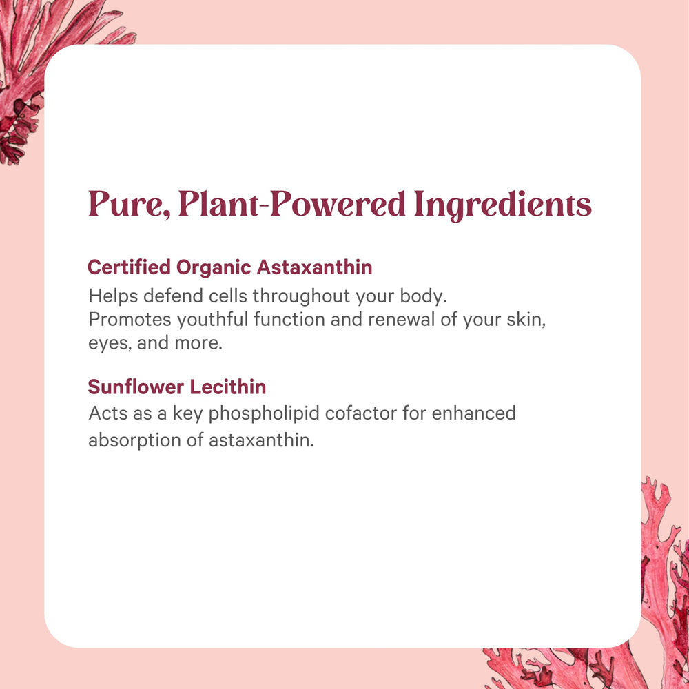 PURE SYNERGY cultivo de algas en envase de vidrio que muestra pureza