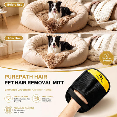 Purepath Hair guante en mano limpiando pelo del sofá, limpieza rápida y eficaz