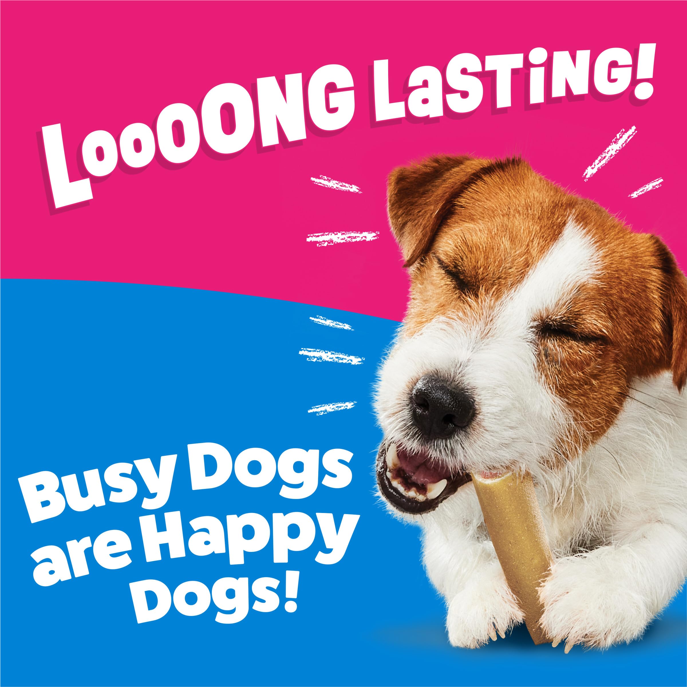 Purina Busy huesito en mano para comparar tamaño con la palma