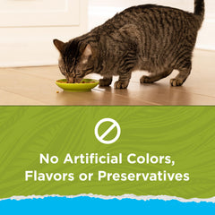 Purina Cat Chow portion in bowl illustrating recommended serving size