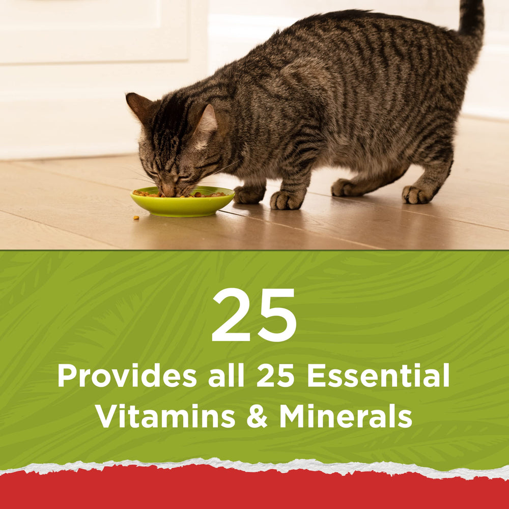 Purina Cat Chow trozos de salmón resaltando variedad de proteínas y palatabilidad