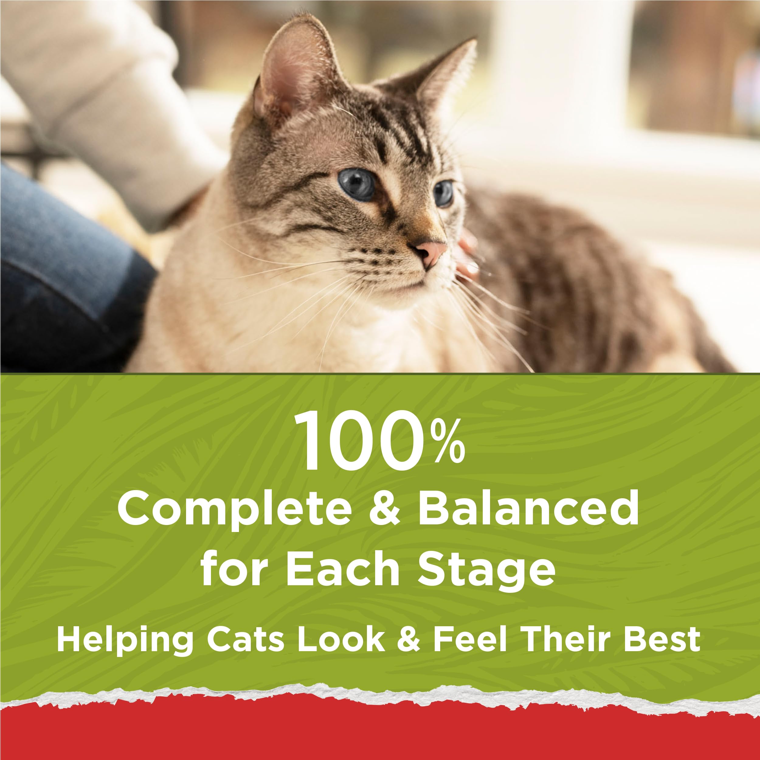 Purina Cat Chow etiqueta nutricional destacando 25 vitaminas y minerales esenciales