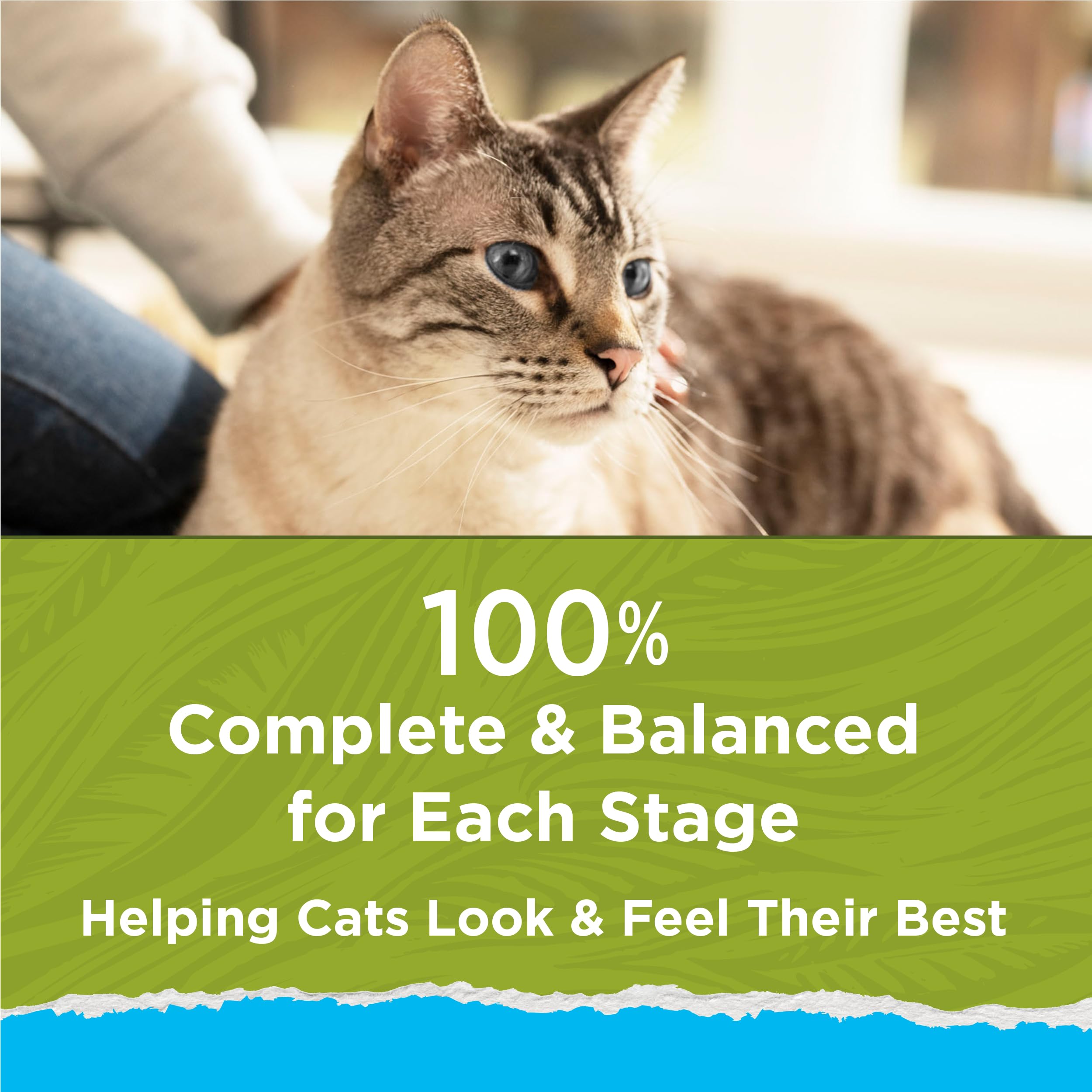 Close-up feeding guide on Purina Cat Chow bag for portion accuracy
