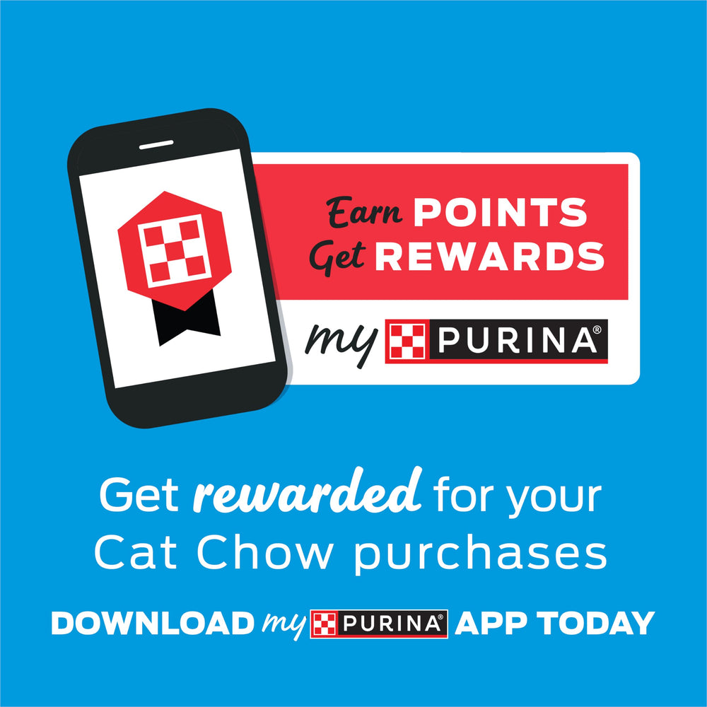 Relaxed indoor cat beside Purina Cat Chow bag showing indoor suitability