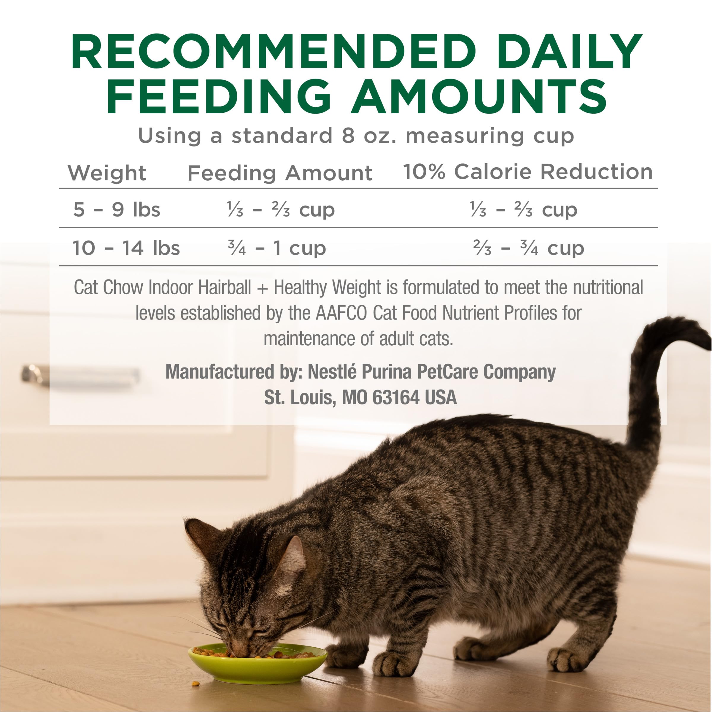 Purina Cat Chow hand holding kibble to show texture and quality