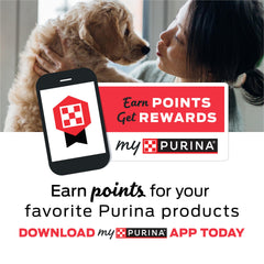 Purina Moist & Meaty sobre abierto con textura tierna y aspecto apetitoso