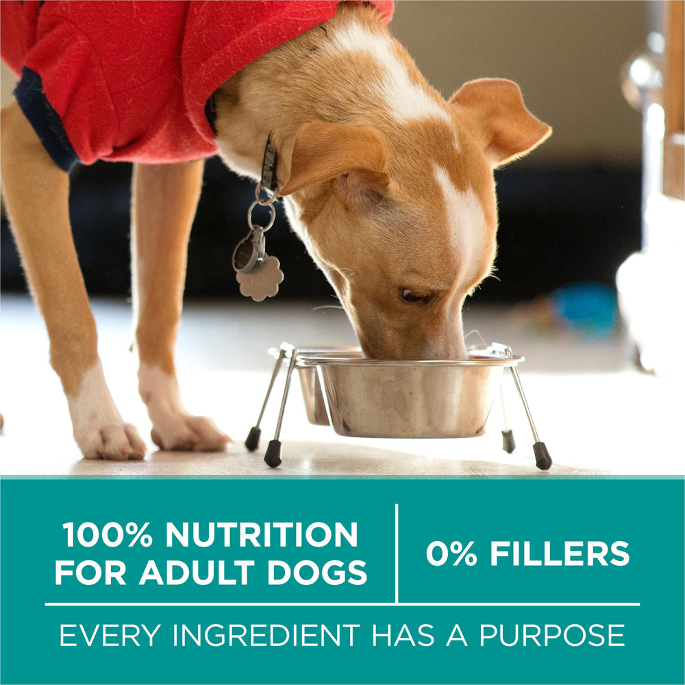 Purina ONE bag stored on pantry shelf showing convenience and long supply