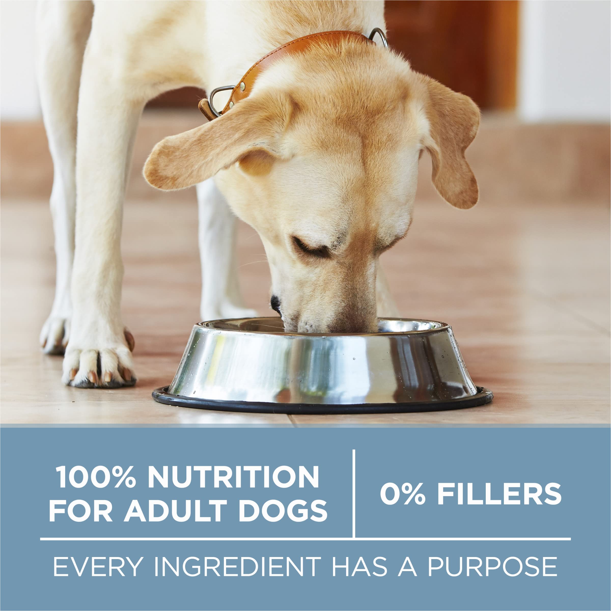 Purina ONE bag on pantry shelf in lifestyle setting for everyday feeding