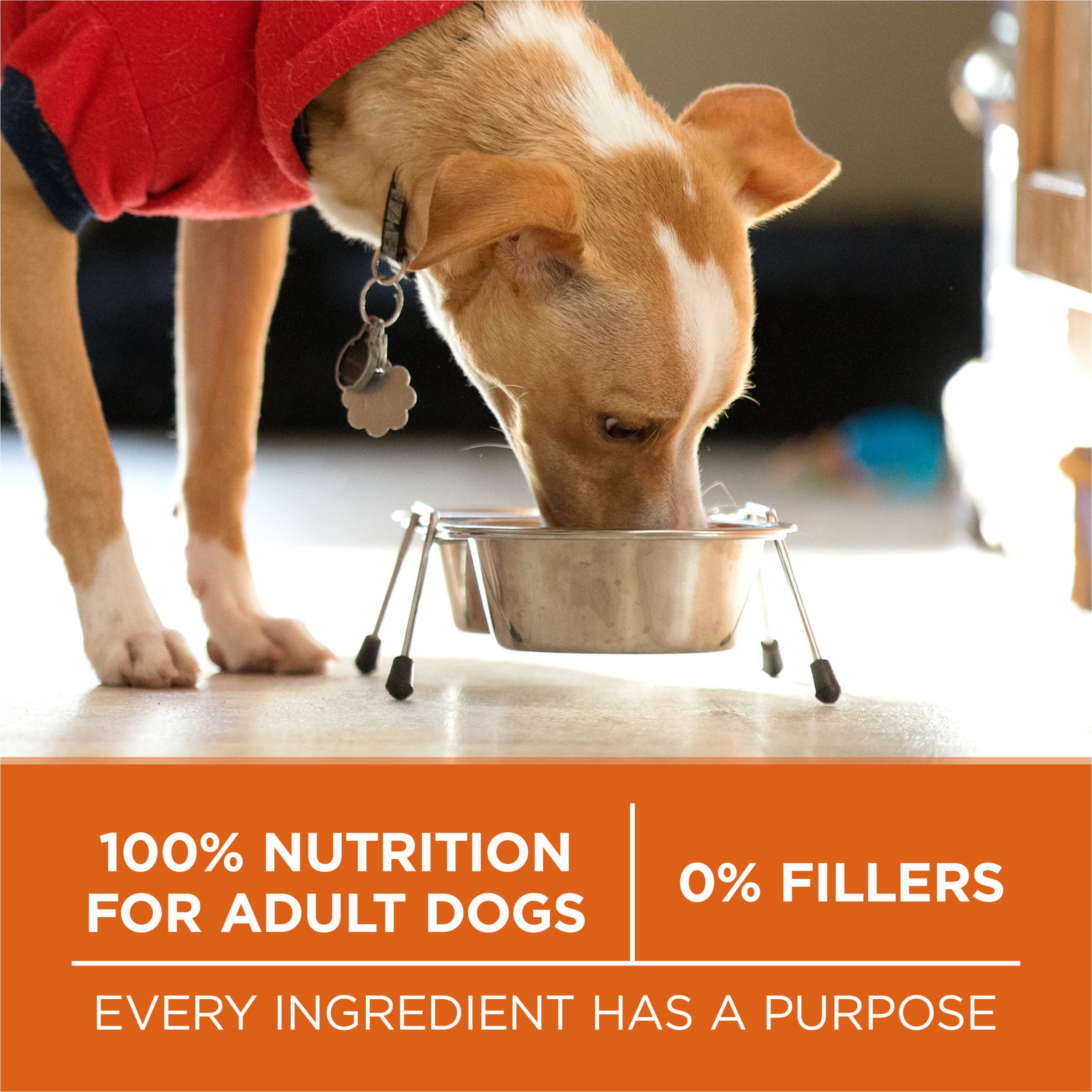 Purina ONE bolsa de 8 lb colocada en mesa para referencia de tamaño