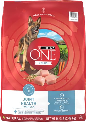 Purina ONE bowl serving demonstrating portion size and balanced nutrition