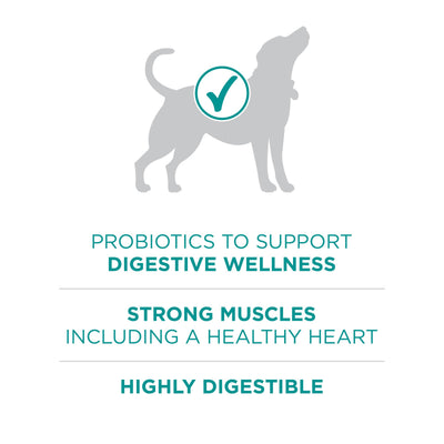 Purina ONE served in a bowl in a clean kitchen showing appetizing meal