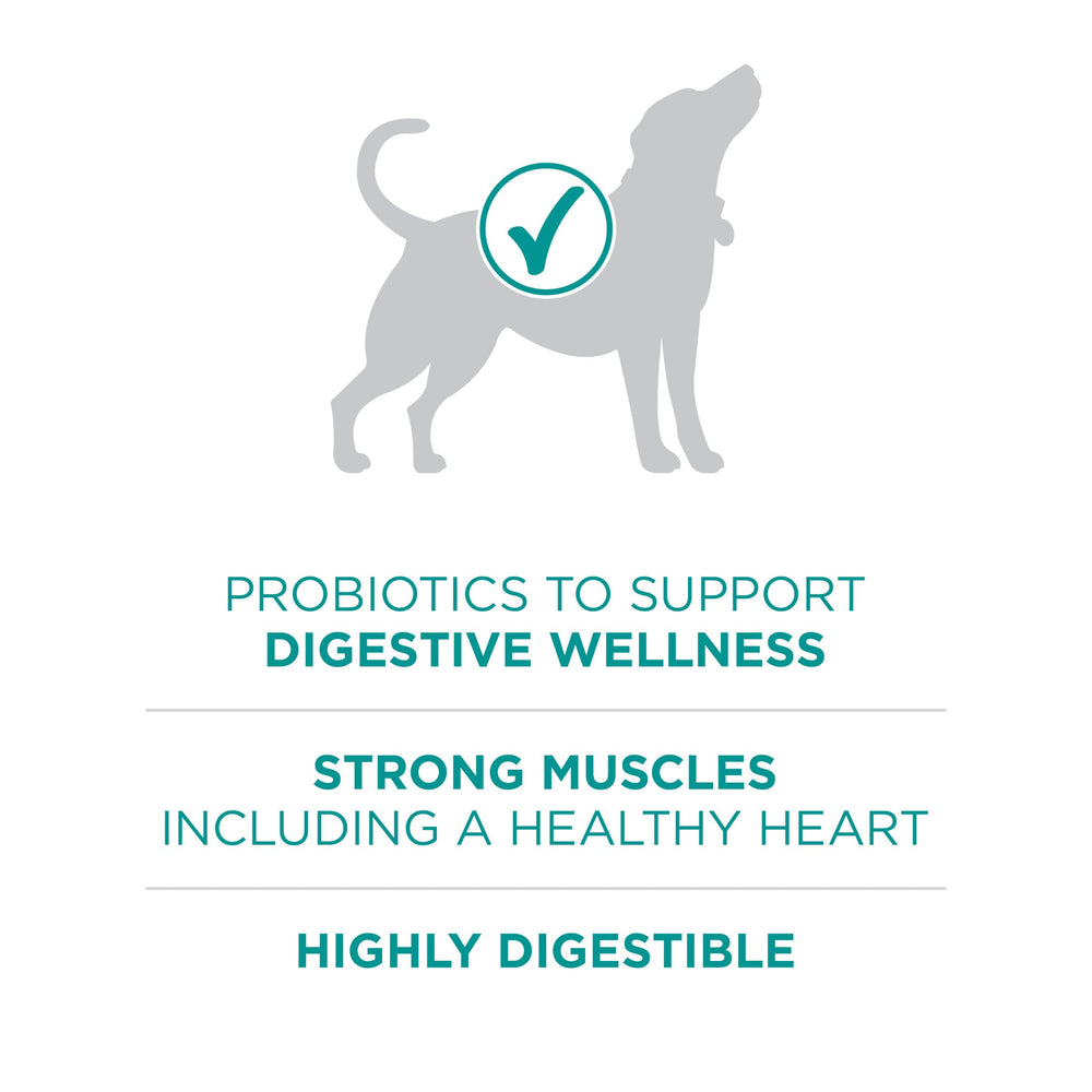 Purina ONE served in a bowl in a clean kitchen showing appetizing meal