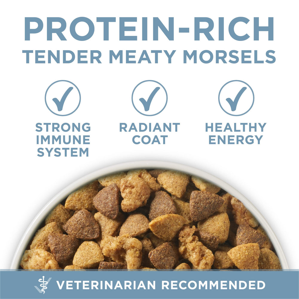 Purina ONE coat and paw closeup showing healthy coat and joint comfort