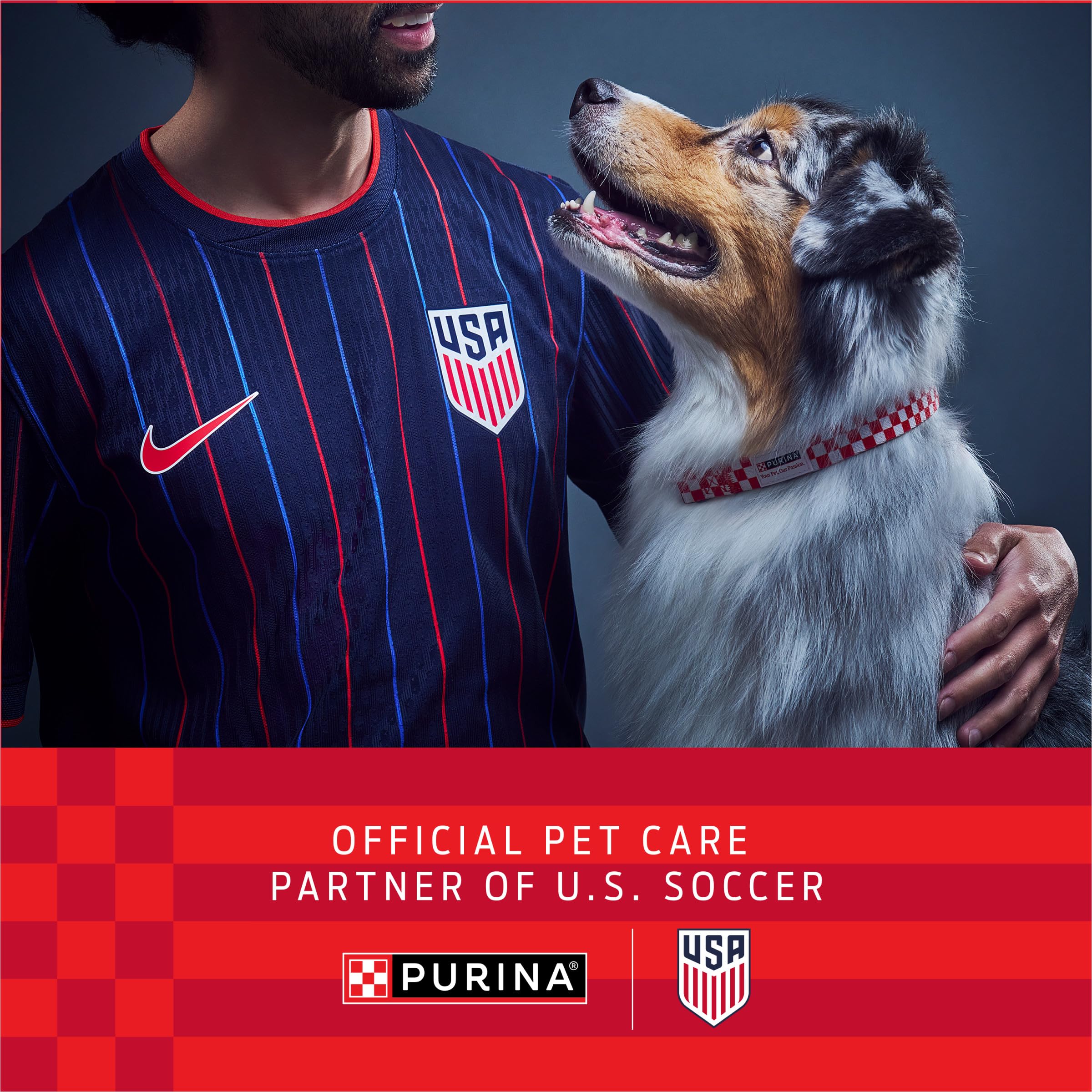 Purina ONE croquetas en mano para comparar tamaño y visualizar porción práctica