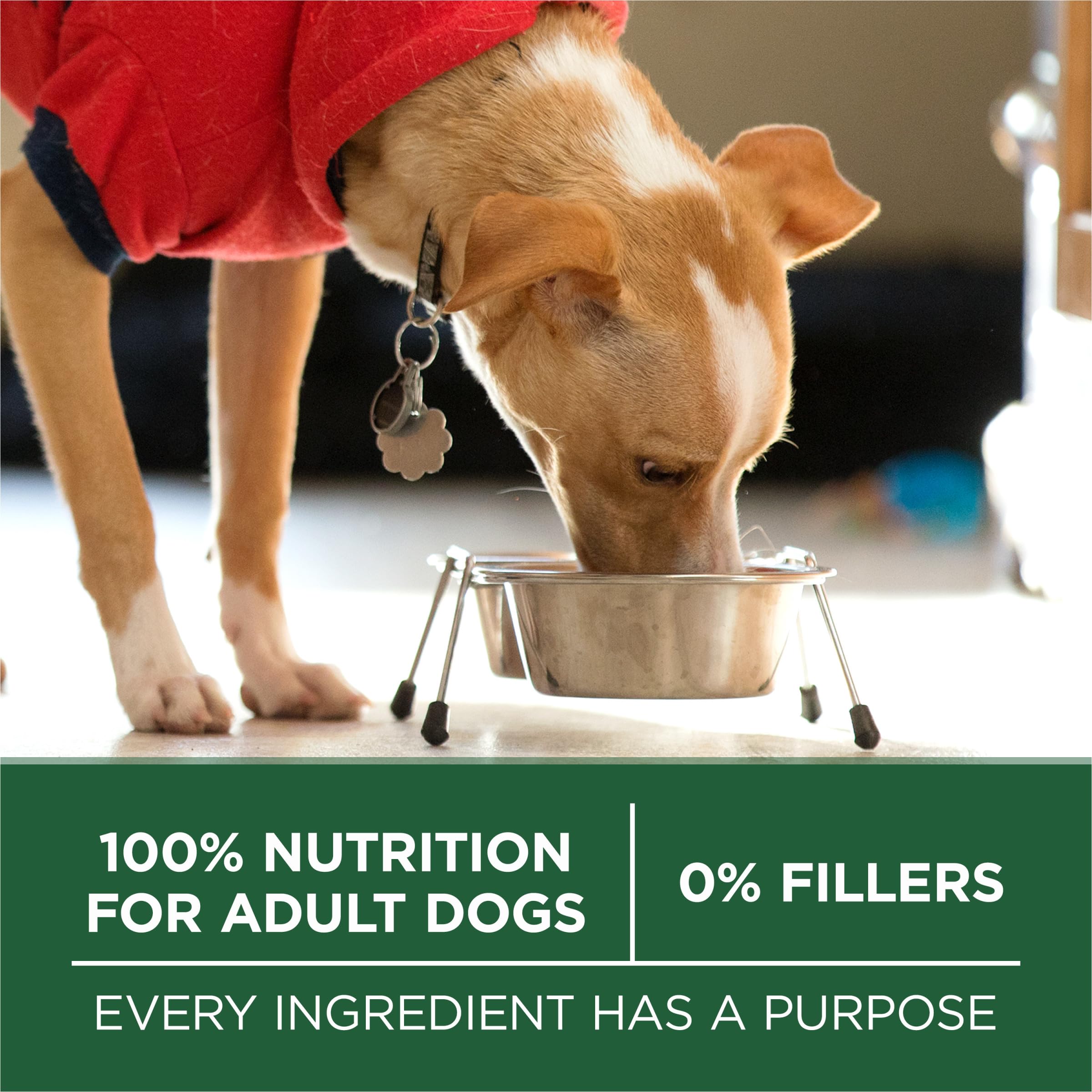 Purina ONE etiqueta nutricional resaltando ingredientes clave