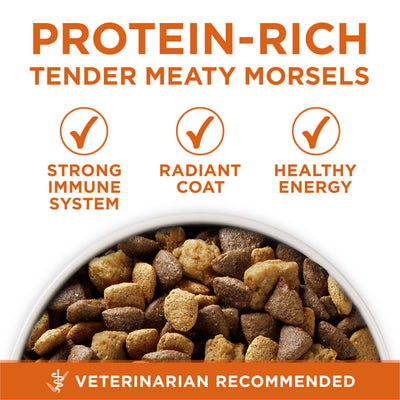 Purina ONE dog eating from bowl enjoying taste and texture