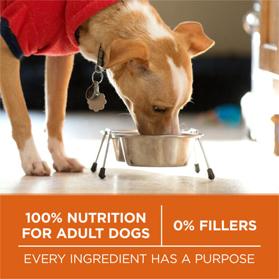 Purina ONE nutrient icons highlighting immune, joint, and coat support
