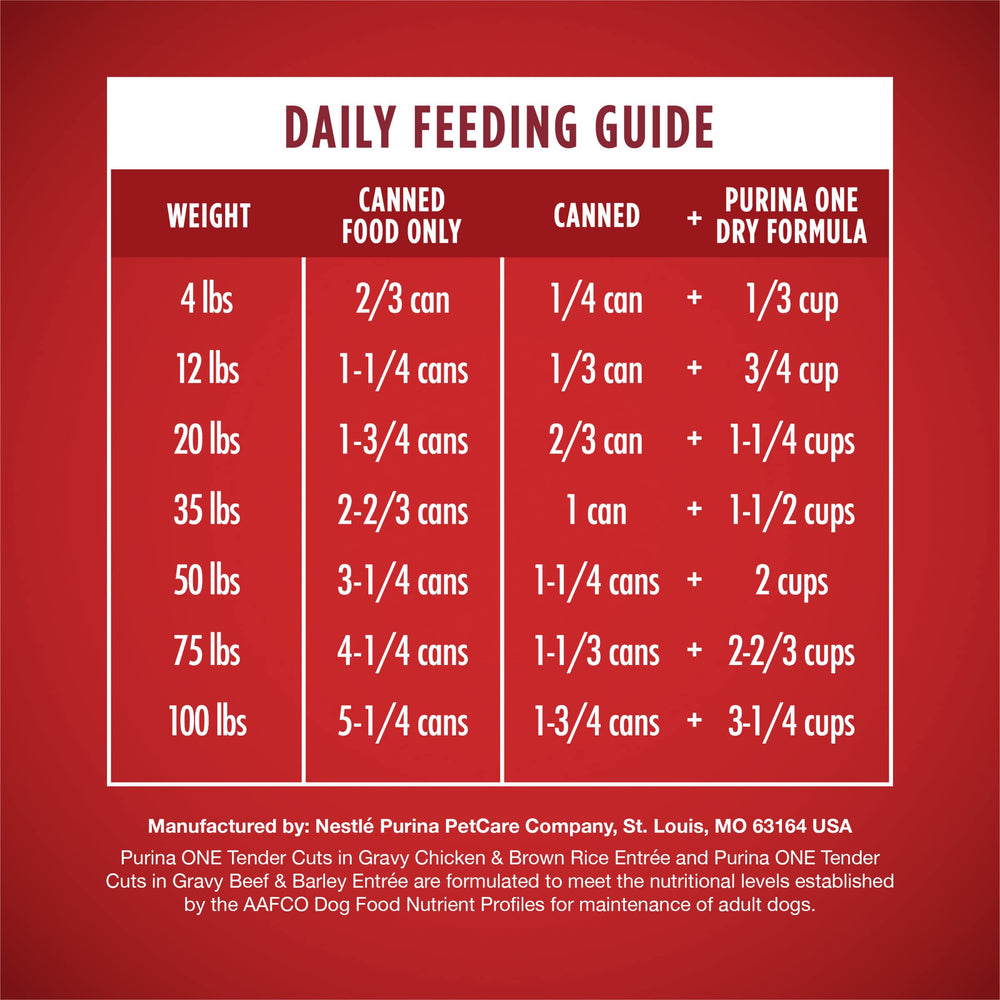 Purina ONE ingredientes destacados: carne real, proteína visible y calidad