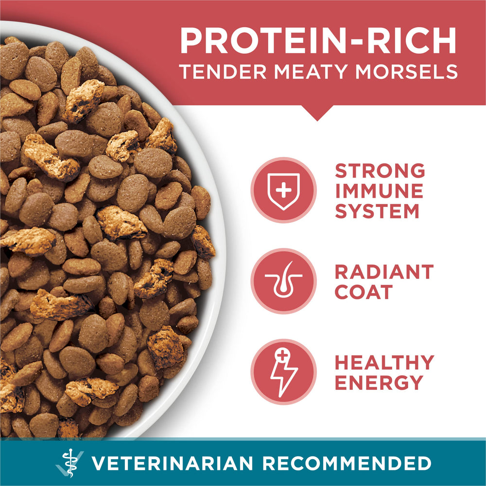Purina ONE salmón real y vegetales como ingredientes principales