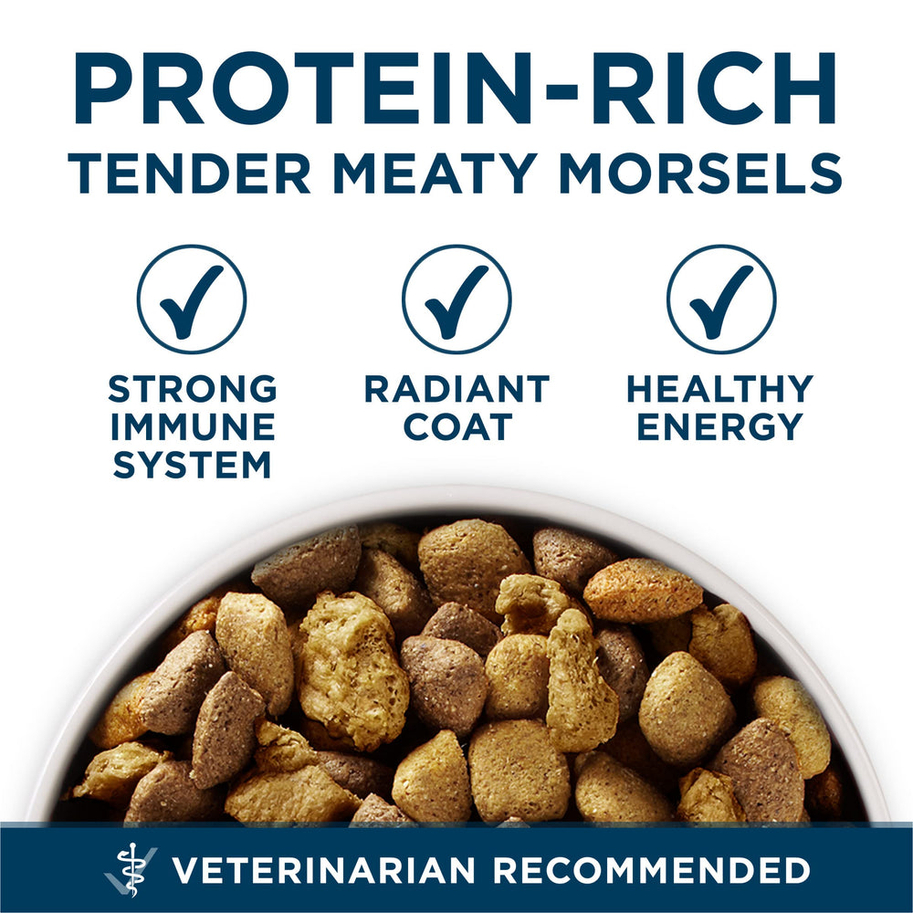 Purina ONE glucosamine ingredient focus supporting joint health