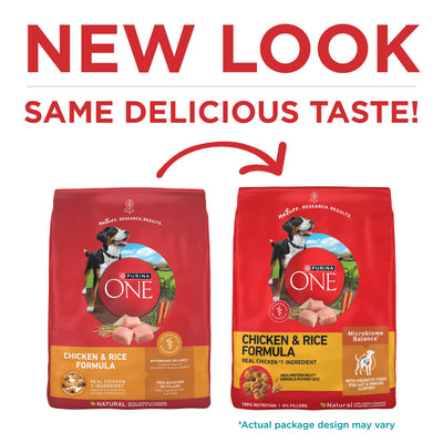Purina ONE detalle de kibble que muestra textura y atractivo para el perro
