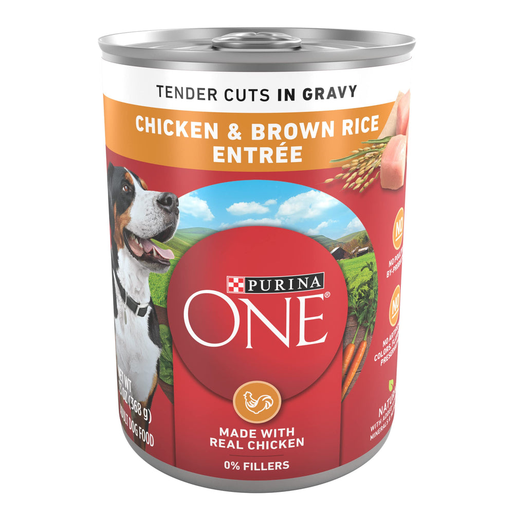 Purina ONE lata frontal mostrando la etiqueta y formato práctico