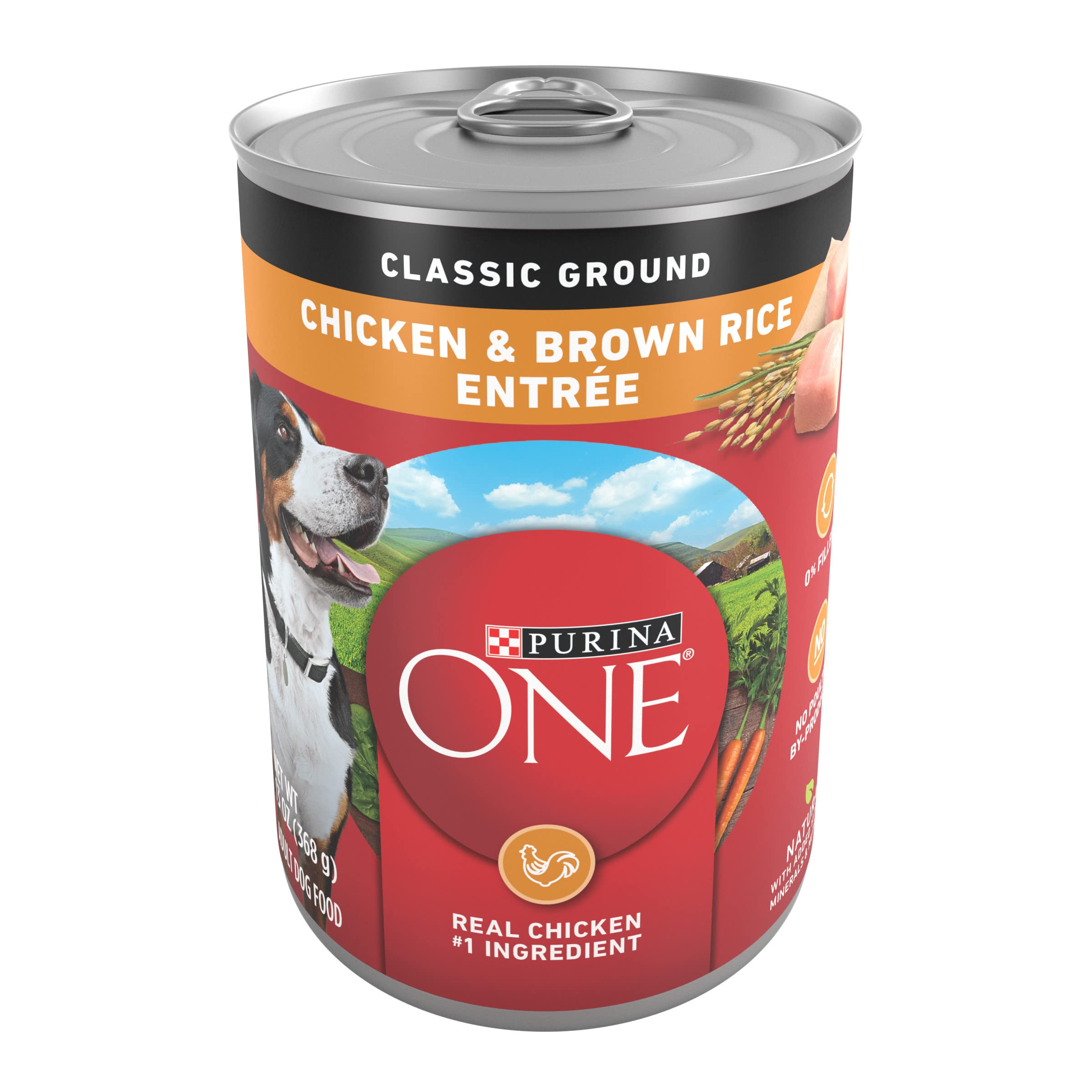 Purina ONE lata frontal mostrando etiqueta y beneficios visibles