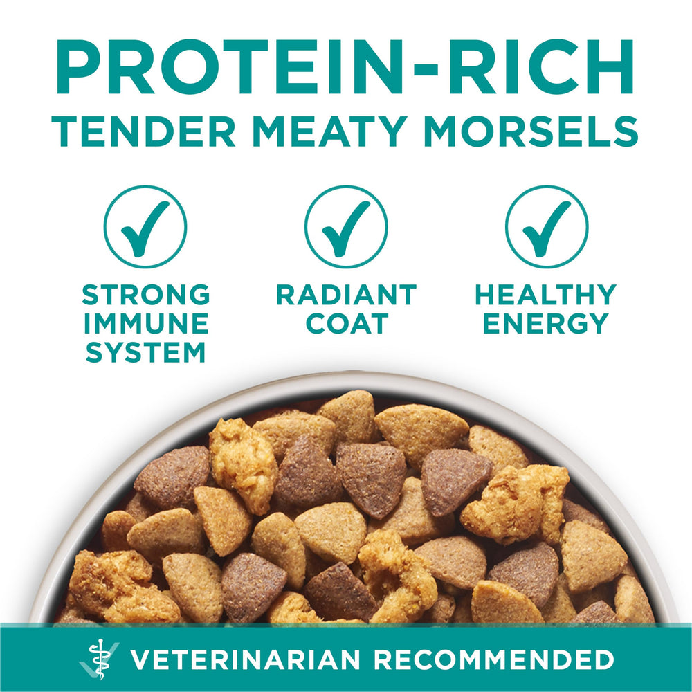 Graphic of Purina ONE nutrient icons highlighting probiotics and omegas
