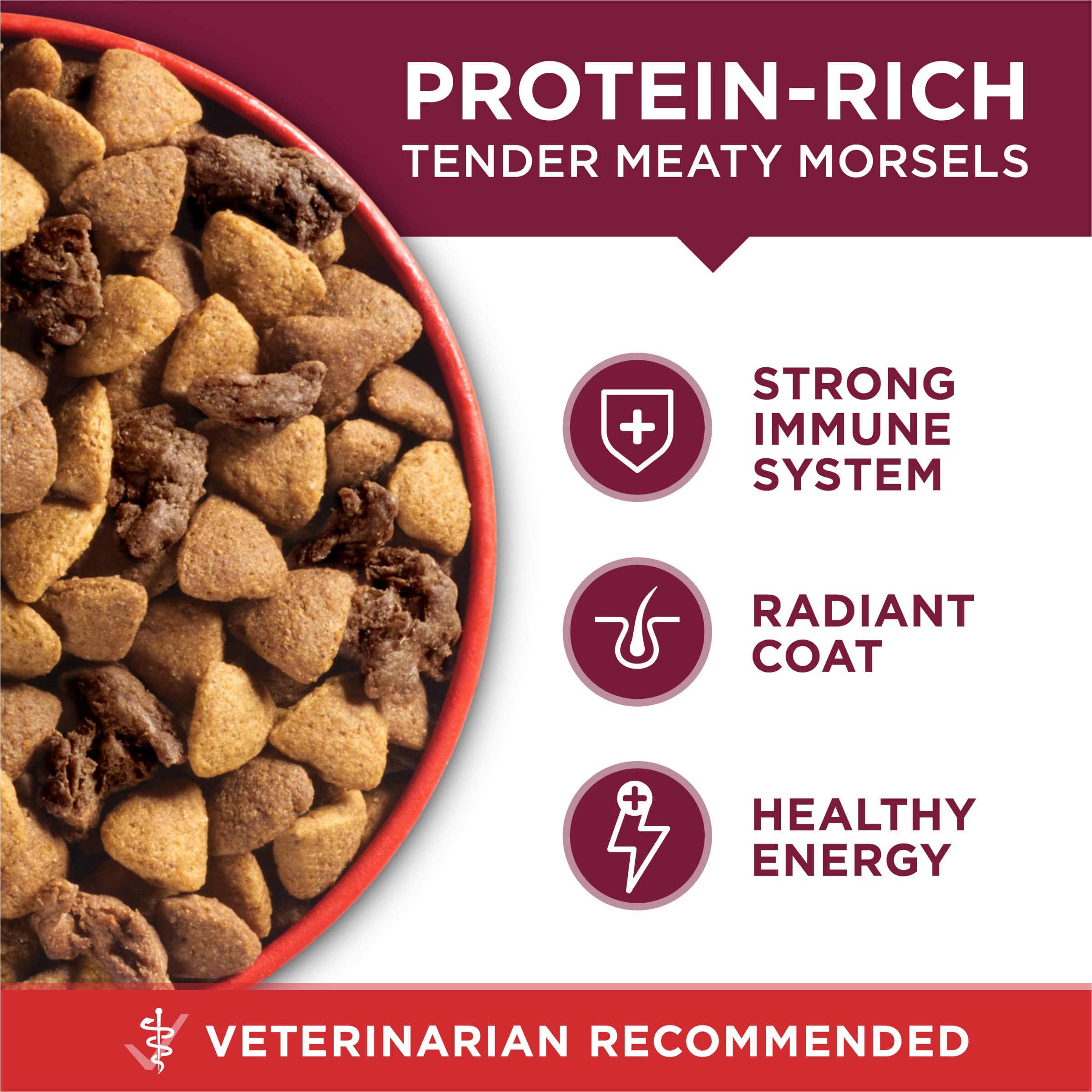 Purina ONE perro pequeño comiendo refuerza aceptación y energía diaria