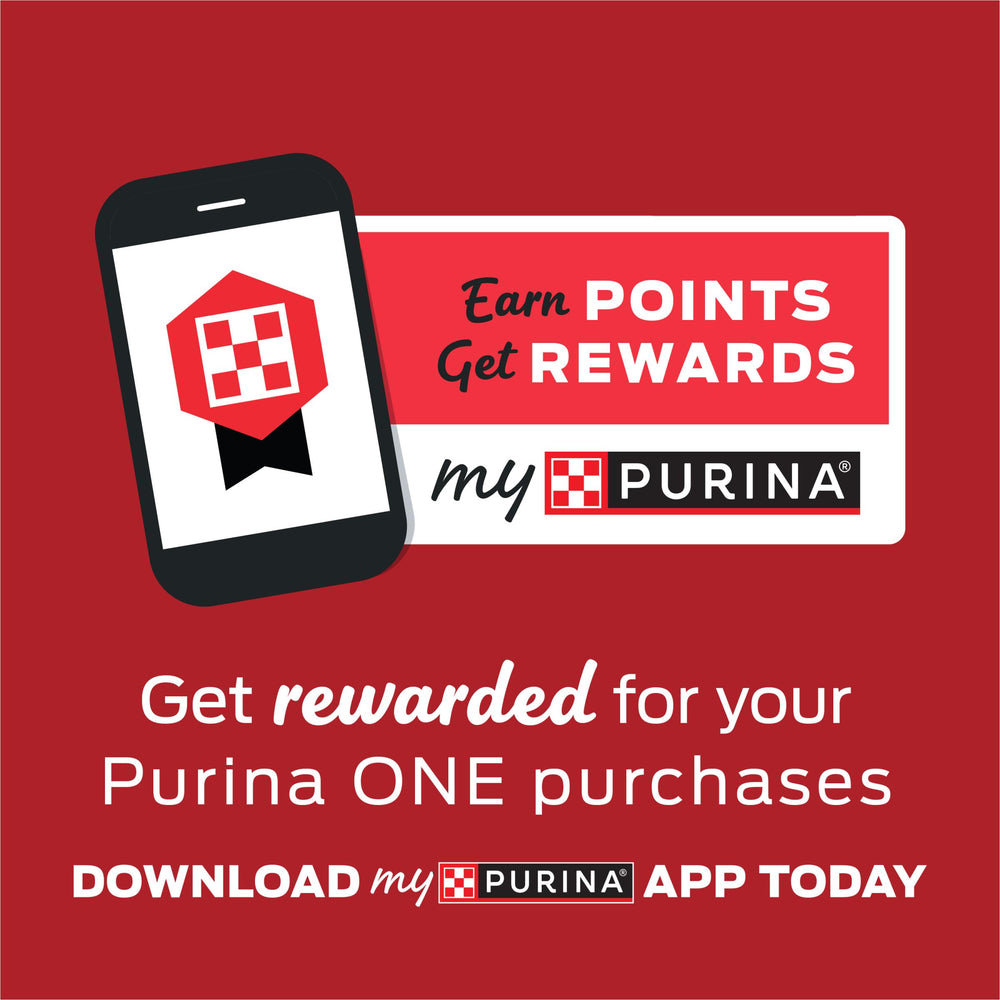 Purina ONE mixed with kibble to increase moisture and appeal